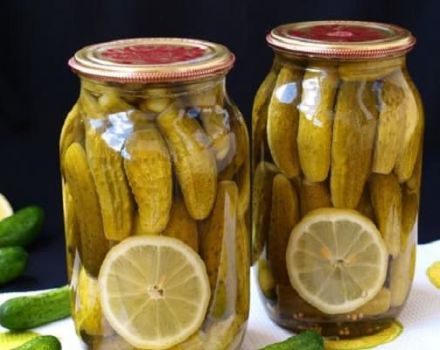 TOP 10 recetas de pepinos de Praga con limón y ácido cítrico para el invierno, en casa