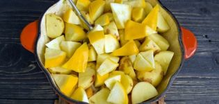 How to freeze squash for the winter fresh at home and is it possible