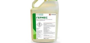 Instructions pour l'utilisation de l'herbicide Hermes, mesures de sécurité et analogues