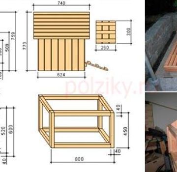 Disegni per creare una casa per oche e anatre con le tue mani, un piano di penna