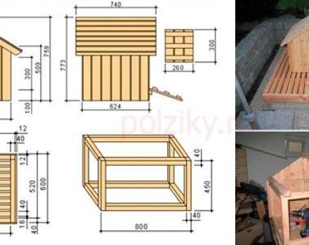 Dibujos para crear una casa para gansos y patos con sus propias manos, un plan de lápiz.