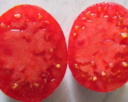 Characteristics and description of the Babushkino tomato variety, its yield