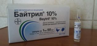 Instructions for use and composition of Baytril for ducklings, dosage and analogues