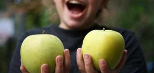 Descripción y características de las manzanas Mutsu, plantación, cultivo y cuidado.