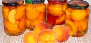 TOP 4 recipes, how easy it is to pickle peaches in syrup for the winter