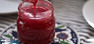 Recetas para hacer salsa de grosellas rojas para el invierno.