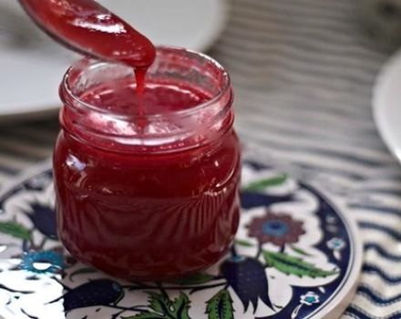 Recipes for making red currant sauce for the winter