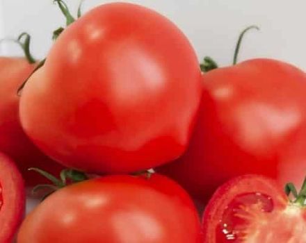 Description de la variété de tomate Azov, recommandations de culture et d'entretien