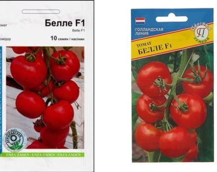 Description of the Bellé tomato variety f1, its characteristics and cultivation