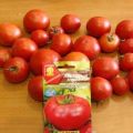 Description de la variété de tomate Laskovy Misha et de ses caractéristiques