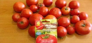 Description de la variété de tomate Laskovy Misha et de ses caractéristiques