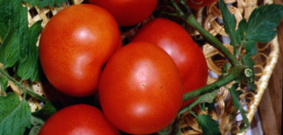 Caractéristiques et description de la variété de tomate Lakomka