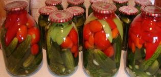 Is it possible to preserve Zozulya cucumbers for the winter and the best salting recipes