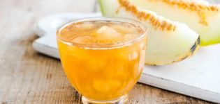 Recettes simples pour mettre en conserve des melons comme l'ananas dans des bocaux pour l'hiver