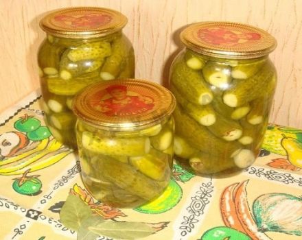 Recetas paso a paso de pepinillos en escabeche crujientes para el invierno como en una tienda