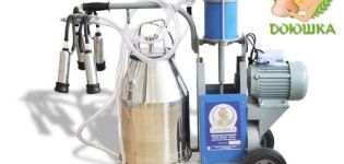 Technical characteristics of the Doyushka milking machine and how to use it