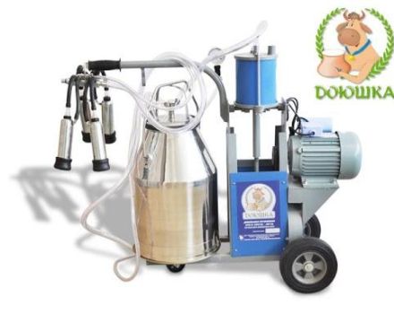 Technical characteristics of the Doyushka milking machine and how to use it