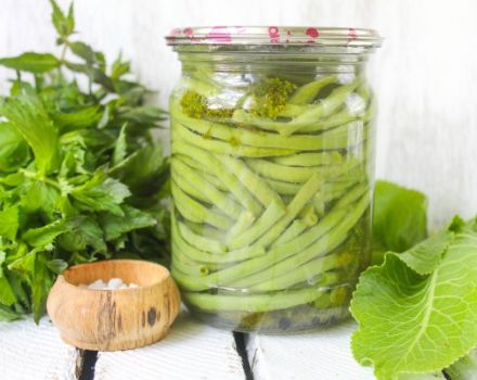 TOP 10 recipes for cooking asparagus beans for the winter, with and without sterilization