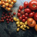 The best varieties of tomato seeds for open ground in the Rostov region