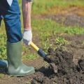 How to make a garden for cucumbers in the open field with your own hands