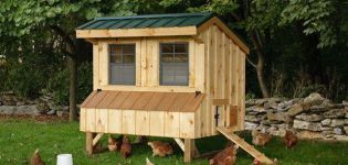 Step-by-step instructions on how to make a chicken coop for 10 chickens with your own hands