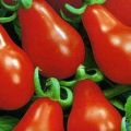 Caractéristiques et description de la variété de tomate Matriochka, son rendement