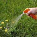 Instructions for the use of herbicide Excellent against weeds in the beds