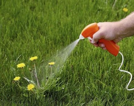 Instructions for the use of herbicide Excellent against weeds in the beds