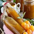 TOP 11 recipes for preparing blanks of plum sauce for the winter