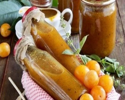 TOP 11 des recettes pour préparer des blancs de sauce aux prunes pour l'hiver