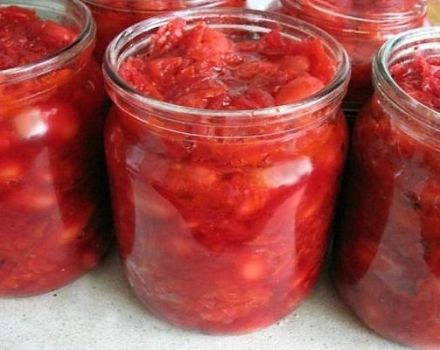 TOP 6 recipes for winter borscht dressings with beans