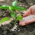 Types and characteristics of mineral, organic, phosphorus, potash and nitrogen fertilizers