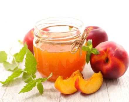 TOP 5 des recettes de confiture de pêche et de nectarine sans pépins pour l'hiver