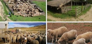 Types and drawings of sheep pens, how to do it yourself at home