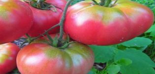 Description de la variété de tomate Pomme de terre framboise et ses caractéristiques