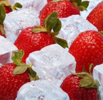 Cómo congelar correctamente las fresas en casa para el invierno.