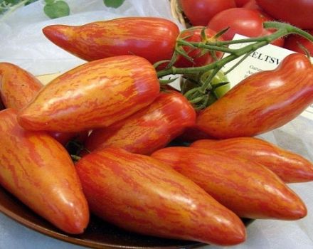 Description of the tomato variety Madness Kasadi, its characteristics and yield