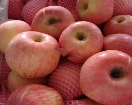 Descripción y características de la variedad y variedades de manzanas Fuji, fructificación y cultivo.