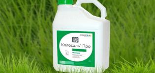 Instructions for use of the fungicide Kolosal, consumption rates and analogues