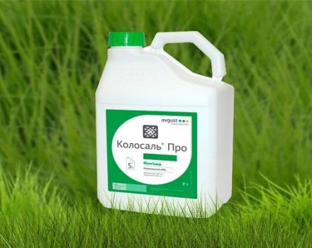 Instructions for use of the fungicide Kolosal, consumption rates and analogues