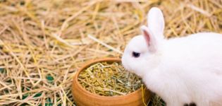 How many times a day should rabbits be fed and a table of feed intake rates