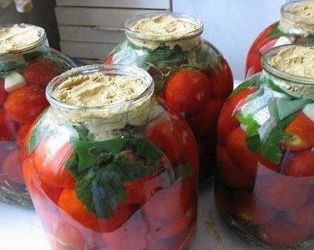 TOP 14 resipi untuk pengetinan tomato dengan mustard untuk musim sejuk