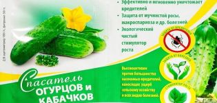 Instrucciones para usar el Cucumber Rescuer cuando necesita procesar