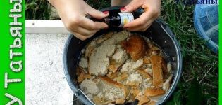 How to make and properly feed cucumbers with bread infusion