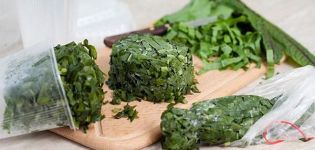 13 best homemade greens recipes for the winter