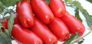 Description de la variété de bois de chauffage de tomates à faible croissance et de ses caractéristiques