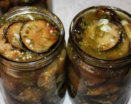 2 meilleures recettes d'aubergines à l'huile pour l'hiver