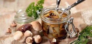 How much and where can you store homemade pickled mushrooms