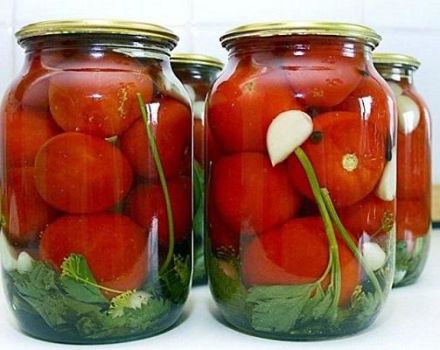 10 recipes for making pickled and hot-sweet tomatoes for the winter