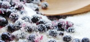 9 best recipes for making blueberries with sugar for the winter without cooking